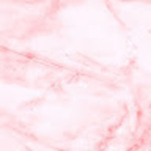 Meet your Posher, Nina